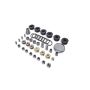Ford Racing M-6026-ZBLOCK Block Plug And Dowel Kit For Z Blocks