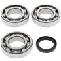 All Balls Racing 24-1076 99-00 Polaris Sportsman 335 Crank Shaft Bearing Kit