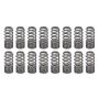 PAC RACING SPRINGS PACPAC-1281X-16 1.031 Beehive Valve Springs RPM Series