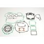 Athena P400250850137/1 Complete Gasket Kits
