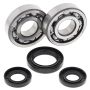 All Balls Racing 24-1028 98-00 Yamaha YZ250 Crank Shaft Bearing Kit