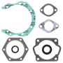 Vertex Pistons 711308 Vertex Gaskets  Sachs 340 SA340R/SA340C FC/1 Complete Gasket Kit w/ Oil Seals
