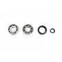 Athena P400210444249 Main Bearing & Seal Kit