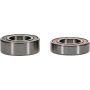 Pivot Works 25-1676-P BMW Wheel Bearing Kit Premium Bearings