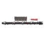 EDELBROCK EDE7157 Pontiac Cam & Lifter Kit