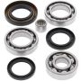 All Balls Racing 25-2008 85-87 Honda ATC250ES Differential Bearing & Seal Kit Rear