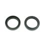 Athena P40FORK455011 93-98 Aprilia RS 50 30x40x8/9mm Fork Oil Seal Kit