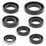 Vertex Pistons 822289 Vertex Gaskets 86-87 Honda TLR200 Reflex Oil Seal Kit