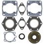Vertex Pistons 711071 Vertex Gaskets 76-79 Polaris TX Complete Gasket Kit w/ Oil Seals