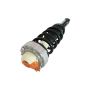 GSP 883113 Audi, Volkswagen Suspension Strut and Coil Spring Assembly  - Rear