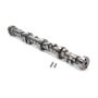 Hydraulic Roller Cam SBF 5.0L