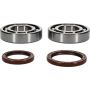 All Balls Racing 24-1123 11-21 Beta RR 4T 350 Crank Shaft Bearing Kit