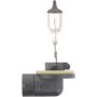 Philips 896B1 Philips Standard Fog Light 896