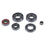 Hot Rods HR00055 00-06 Honda TRX 350 FE 350cc Transmission Bearing Kit