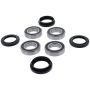 Pivot Works PWFWK-Y11-043 Wheel Bearing Kit