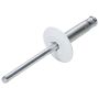 ALLSTAR PERFORMANCE ALL18061 Lg Hd Rivet 250Pk White Flange Type Alum Mandrel