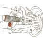 SPECIALTY PRODUCTS COMPANY 87365 FRONT CAMBER ADJUSTMENT CAM