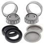 All Balls Racing 28-1155 02-03 Can-Am Quest 500 Swing Arm Bearing Kit
