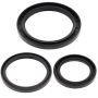All Balls Racing 25-2030-5 85-89 Yamaha YFM200 Moto-4 Differential Seal Only Kit Rear