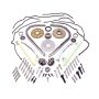 Ford Racing M-6004-462V 4.6L 2V Camshaft Drive Kit
