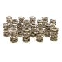 PAC RACING SPRINGS PACPAC-1243-16 1.550 Dual Valve Springs - (16)