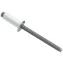 ALLSTAR PERFORMANCE ALL18103 Sm Hd Rivet Silver 250pk