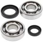 All Balls Racing 24-1003 86-07 Honda CR125R Crank Shaft Bearing Kit