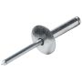 ALLSTAR PERFORMANCE ALL18030 Lg Hd Rivet Silver 200pk