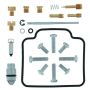 QuadBoss 418180 00-02 Polaris Xpedition 425 Carburetor Kit