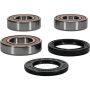 Pivot Works 25-1111-P Wheel Bearing Kit