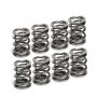 Supertech SPR-H1002D-8 Audi/VW 1.8T AEB Dual Valve Spring - Set of 8