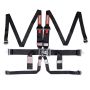 RACEQUIP RQP718008 6pt Harness Set L&L HNR Black SFI
