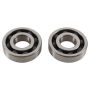 Hot Rods K239 89-04 Yamaha YFM 350 X Warrior 350cc Main Bearing & Seal Kit