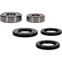 Pivot Works 25-1665-P Polaris Wheel Bearing Kit Premium Bearings