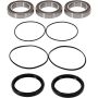 Pivot Works 25-1479-P Pw Premium Wheel Bearing