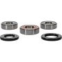 Pivot Works 25-1256-P Suzuki Wheel Bearing Kit Premium Bearings