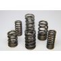 Ferrea MINI Cooper Dual Valve Spring - Set of 16