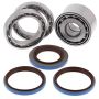 All Balls Racing 25-2098 07-11 Yamaha YFM350 Grizzly IRS Differential Bearing & Seal Kit Rear