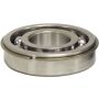 Bearing with clip