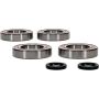 Pivot Works 25-1128-P Kawasaki Wheel Bearing Kit Premium Bearings