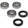 Pivot Works 25-1677-P BMW Wheel Bearing Kit Premium Bearings
