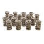 PAC RACING SPRINGS PACPAC-1247-16 1.645 Triple Valve Springs (16)