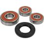 Pivot Works 25-1347-P Suzuki Wheel Bearing Kit Premium Bearings