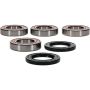 Pivot Works 25-1436-P Arctic Cat Wheel Bearing Kit Premium Bearings