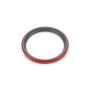 Camshaft Seal (All)