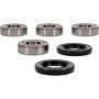 Pivot Works 25-1777-P Honda Wheel Bearing Kit Premium Bearings