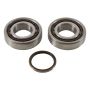 Hot Rods K068 2011 KTM 250 SX-F 250cc Main Bearing & Seal Kit