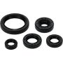 Vertex Pistons 822994 Vertex Gaskets 20-23 Yamaha WR250F Oil Seal Kit
