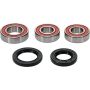 Pivot Works 25-1458-P Gas-Gas, Rieju Wheel Bearing Kit Premium Bearings