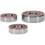Pivot Works 25-1065-P Kawasaki Wheel Bearing Kit Premium Bearings